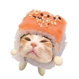 sushiiii