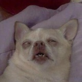JinJi