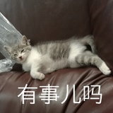 一段生活之梦