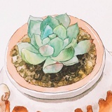 冰点