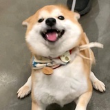 停云霭霭