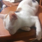 。