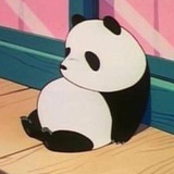 娃哈哈