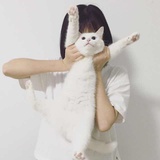 芋头大芋头
