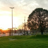Cary