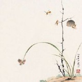 不是小少女