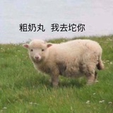 蛋黄酱