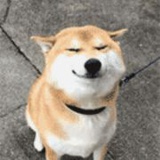 一只一只豆