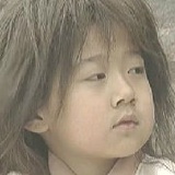 丛林有情狼的小
