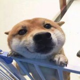 生涩可爱多