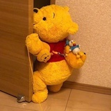 bushidameinv