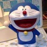 喝汽水的猫