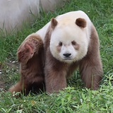 世界第一等