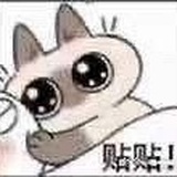 im like tt