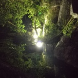 土豆丫的青春