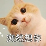 诶你也在这里