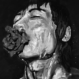 斑马