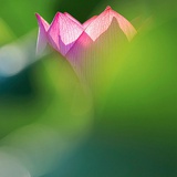 半山秋