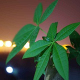 朋友，看淡点
