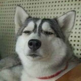 马秋凡