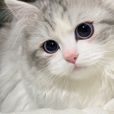 热爱