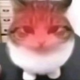 404