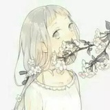 我是猫