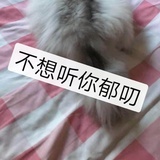 四处蹦哒的喵