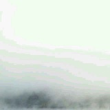 我在江南