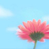 小橘子
