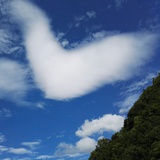 古城西
