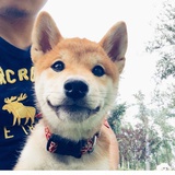 瀚森漫