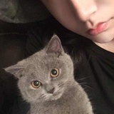 美伢✨