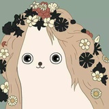 七安