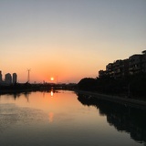 小海豚