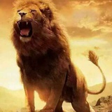 شىر