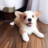 我是你猜不到的