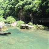 王丽