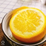 A4单弹力夹