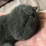 小酒桥