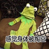 要起飞的企鹅