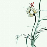 花非花雾非雾