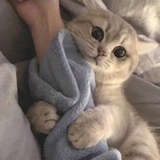 寄语梦