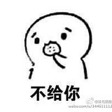 我的骆驼在哪里