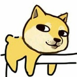刘江儿
