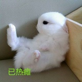 吃瓜ing