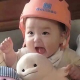 小鱼