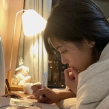 棕熊请落网