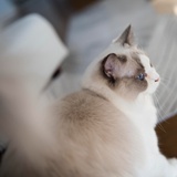 Caroline_0704