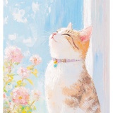 明晔海
